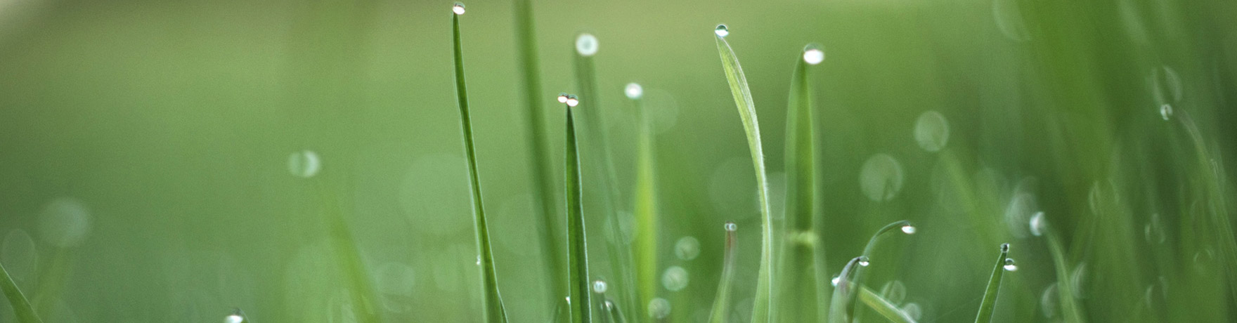 能源企業畫冊設計