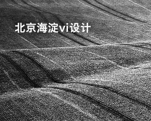 北京海淀vi設計